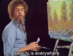 Meme Bob Ross mit Untertitel "Beauty is everywhere"